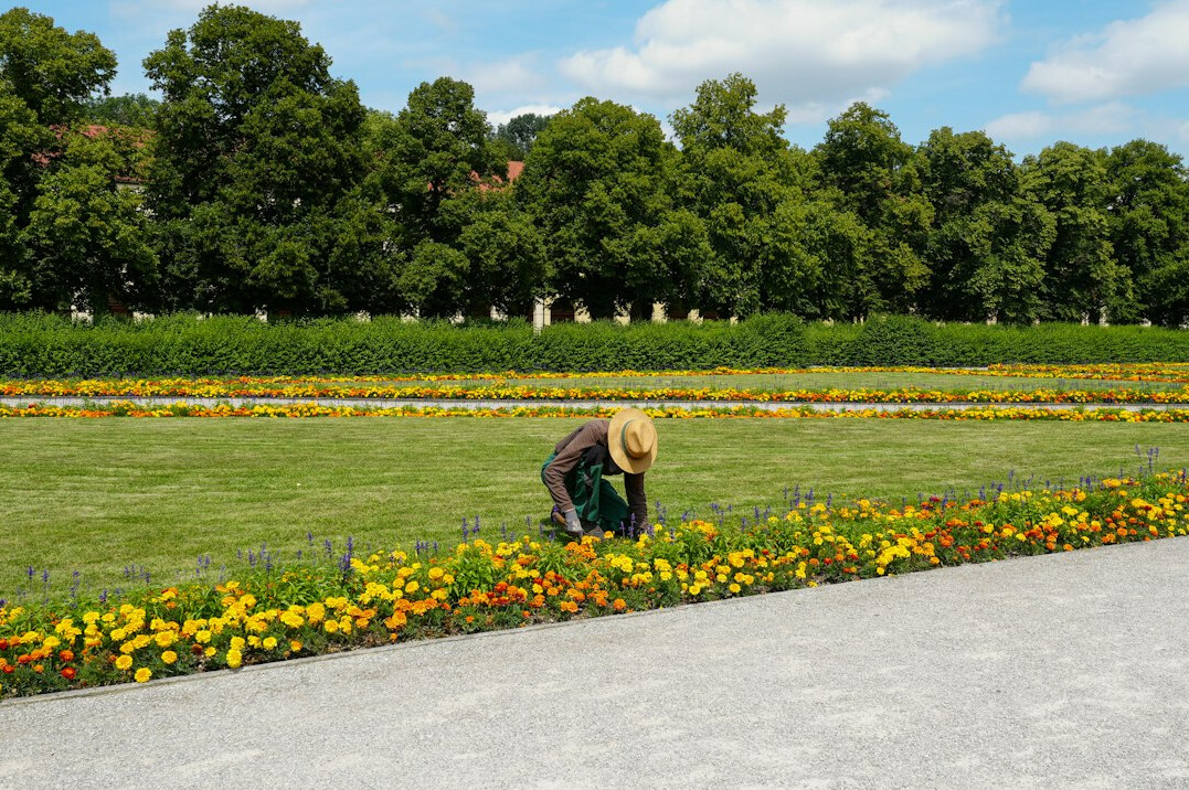 person gardening traditionally