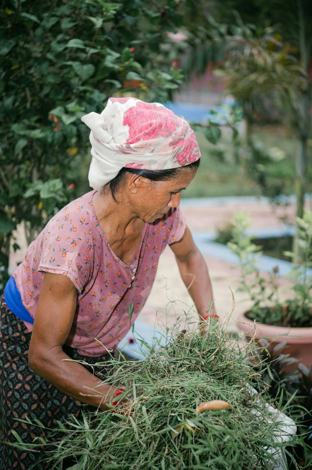 woman gardening with herbs